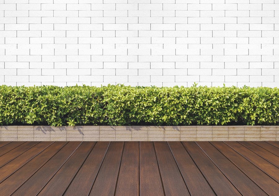 White Garden Wall Ideas