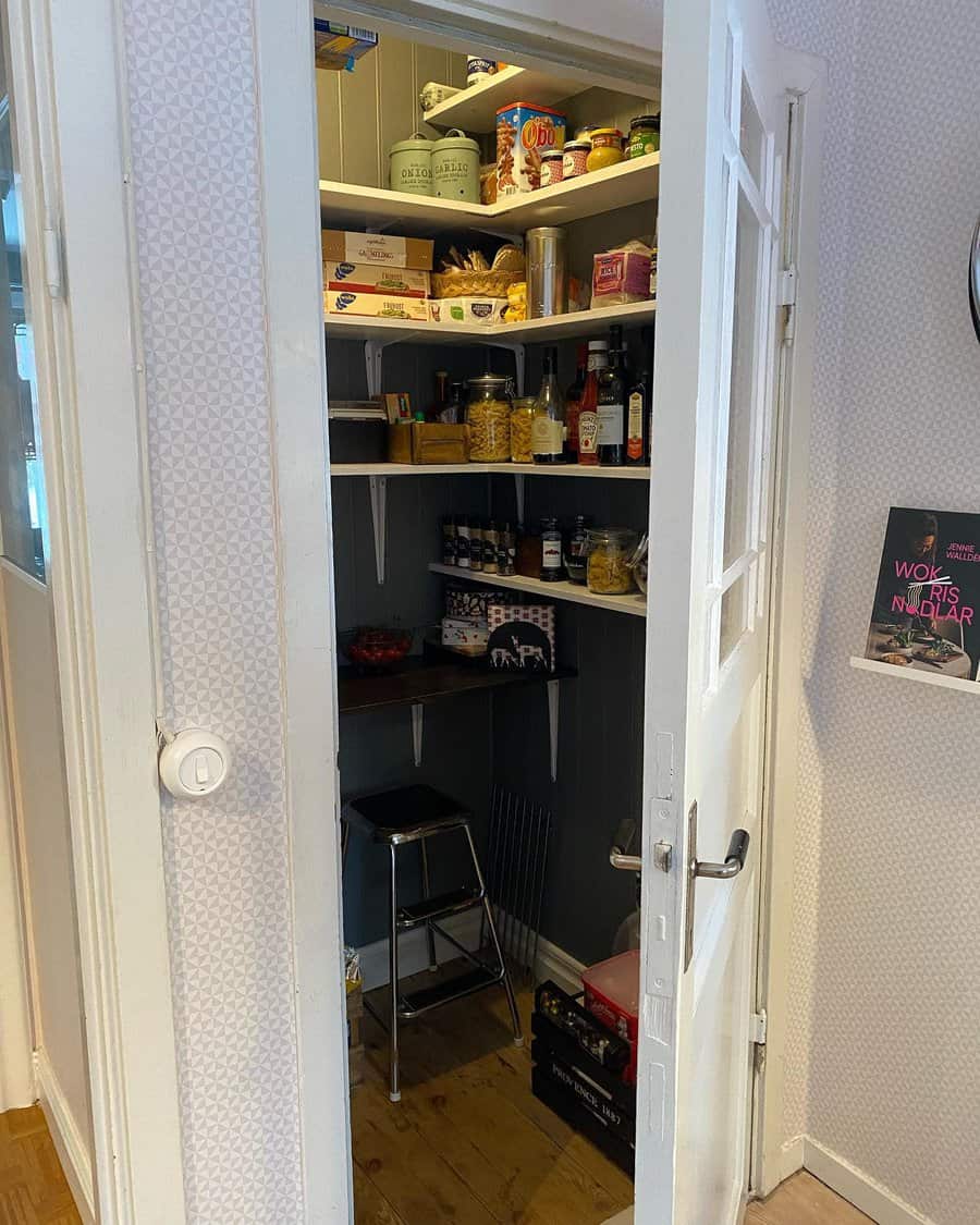 Closet Pantry Cabinet Ideas Elisdeli