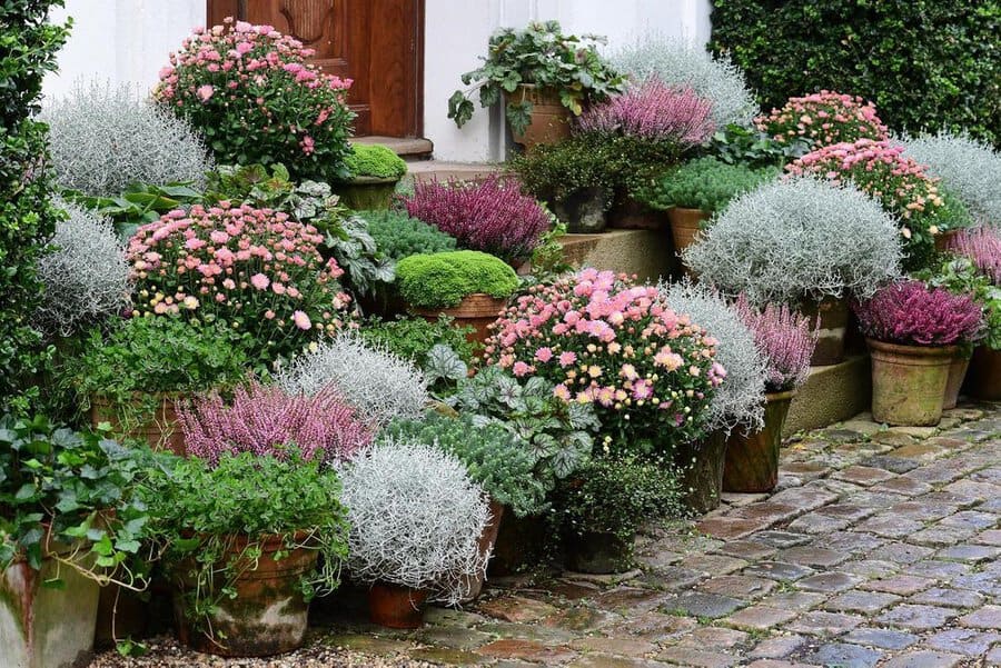 Container Garden Flower Bed Ideas Clausdalby