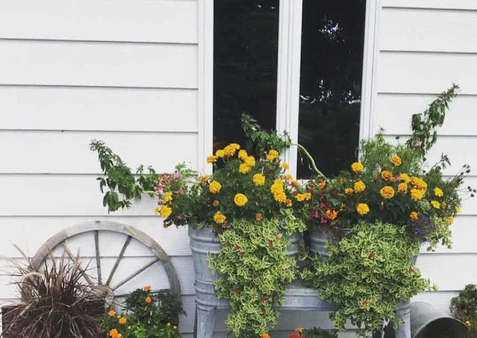 Container Garden Flower Bed Ideas Dakotabloomco