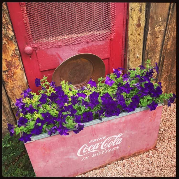 Container Garden Flower Bed Ideas Sonfaith