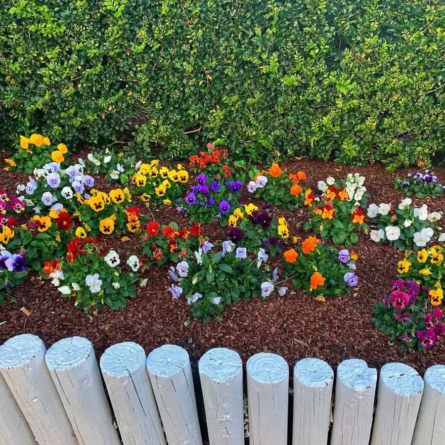 Flowerbed Along The Fence Flower Bed Ideas Littlemomentsinthechaos