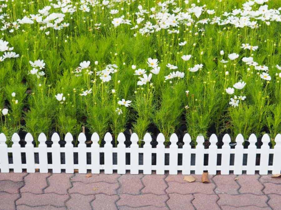 Picket Wood Fence Ideas