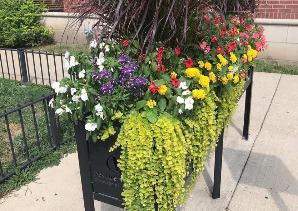 Raised Flower Bed Ideas Chryssiegardens