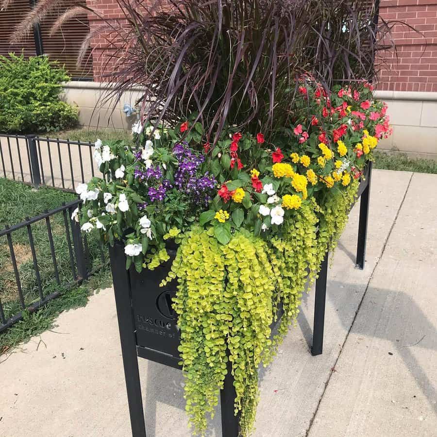 Raised Flower Bed Ideas Chryssiegardens