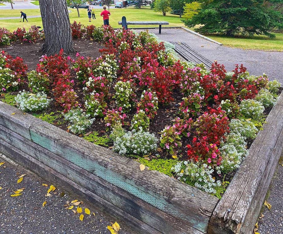 Raised Flower Bed Ideas Candidlifephoto