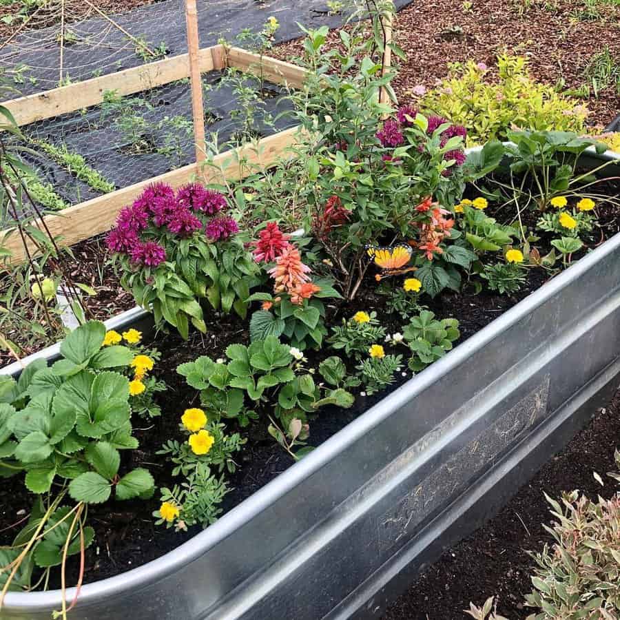 Raised Flower Bed Ideas Ourlittlefoxfarm