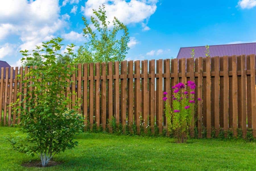 Ranch Country Wood Fence Ideas