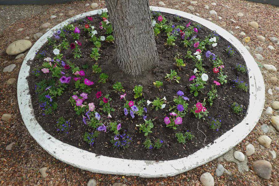 Round Flower Bed Ideas Michaelreinhartcolourimage