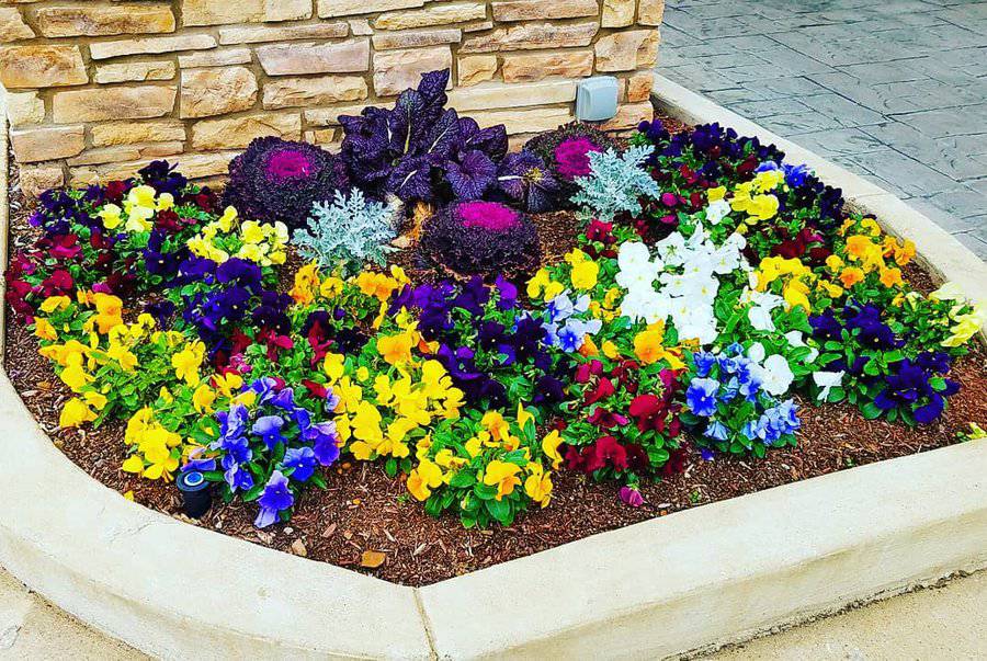 Small Flower Bed Ideas Trajik Lastat