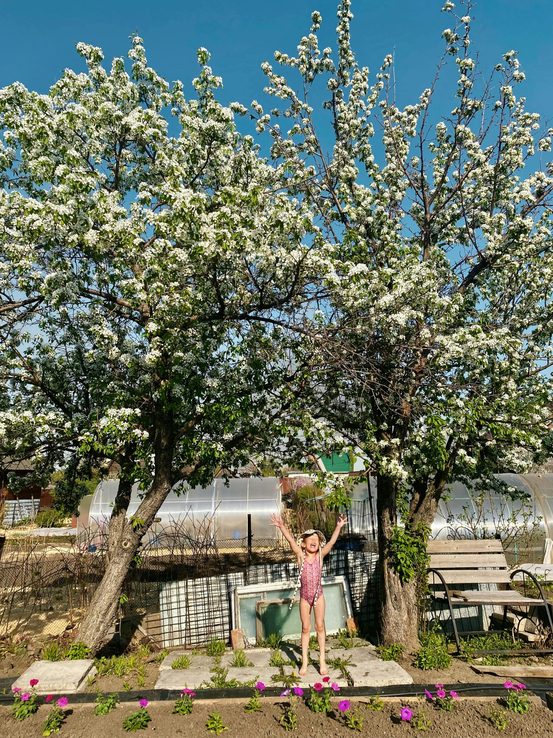 Benefits of Having a Backyard Greenhouse