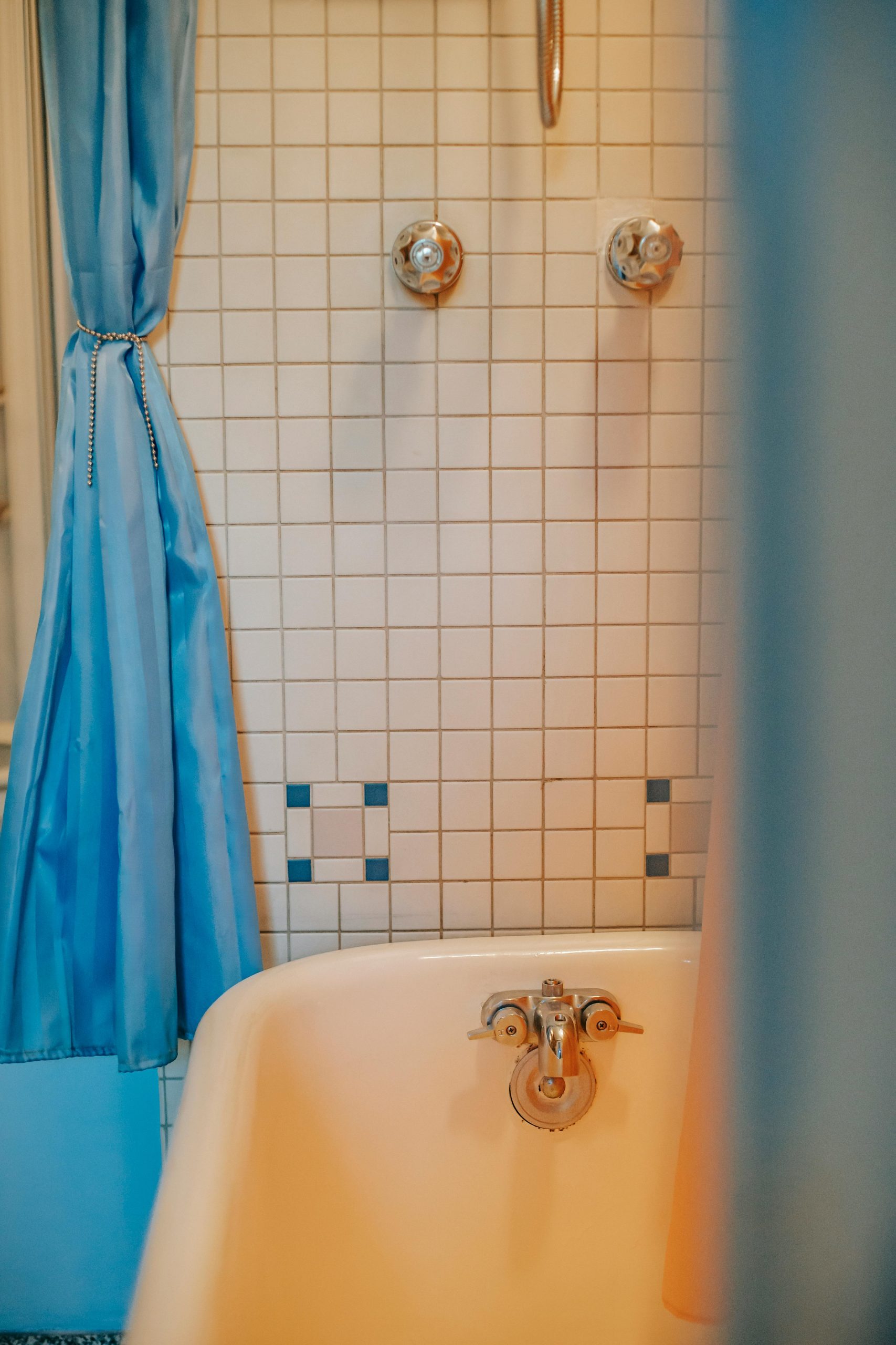 Factors to Consider Before Choosing a Shower Curtain