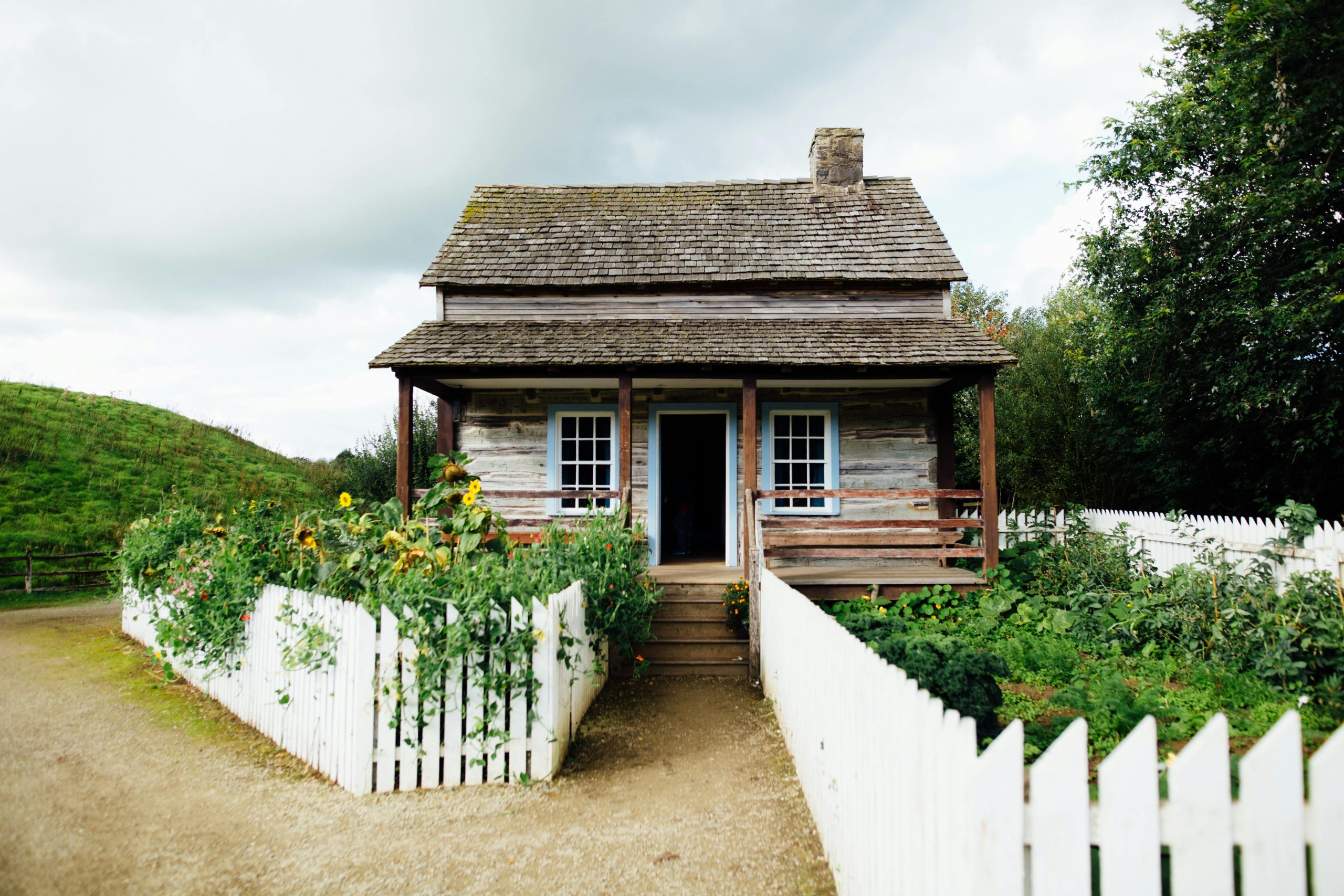 How to Get Started with Your Front Garden Transformation