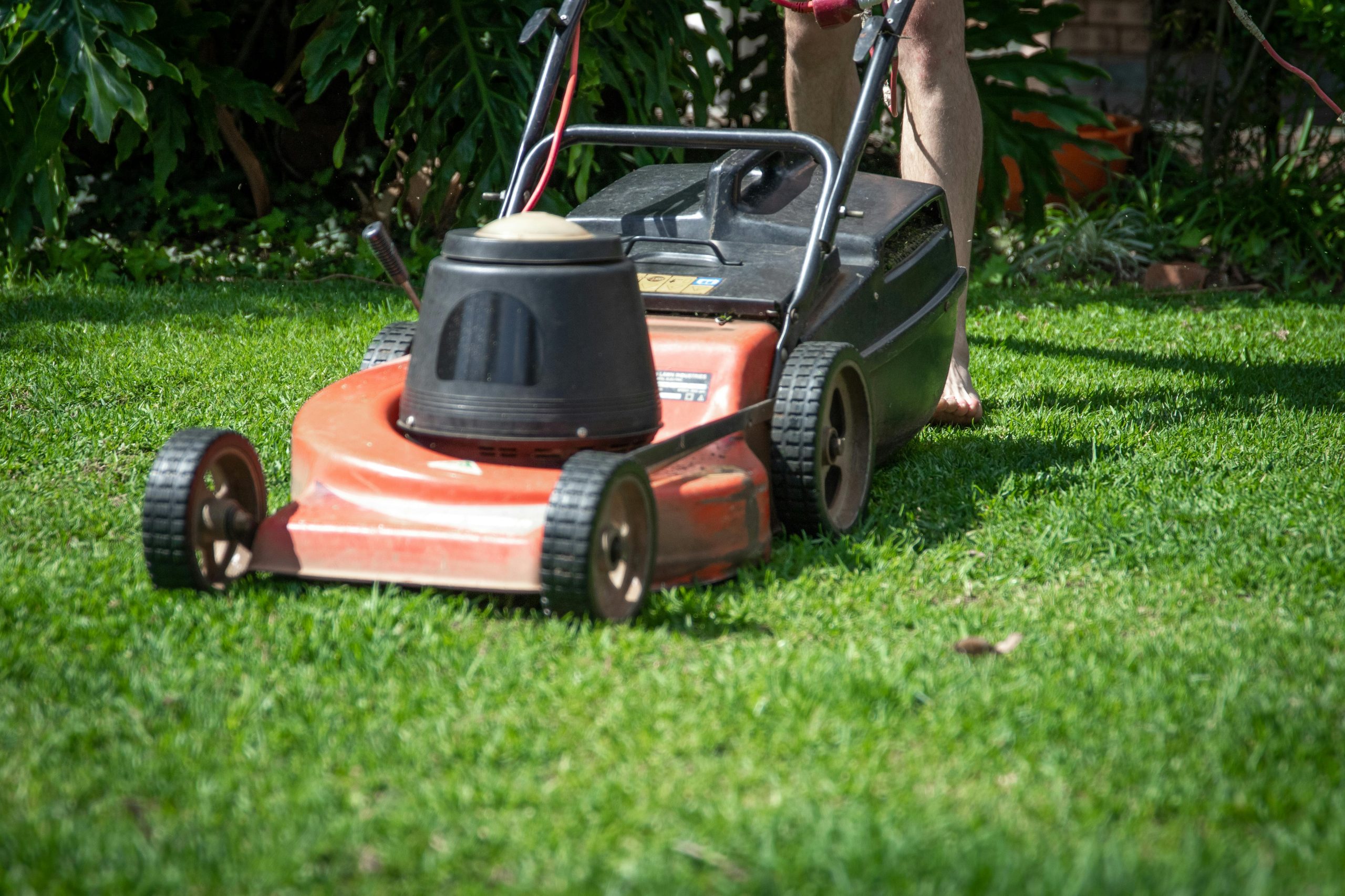 Introduction to Easy Care Yard Landscaping