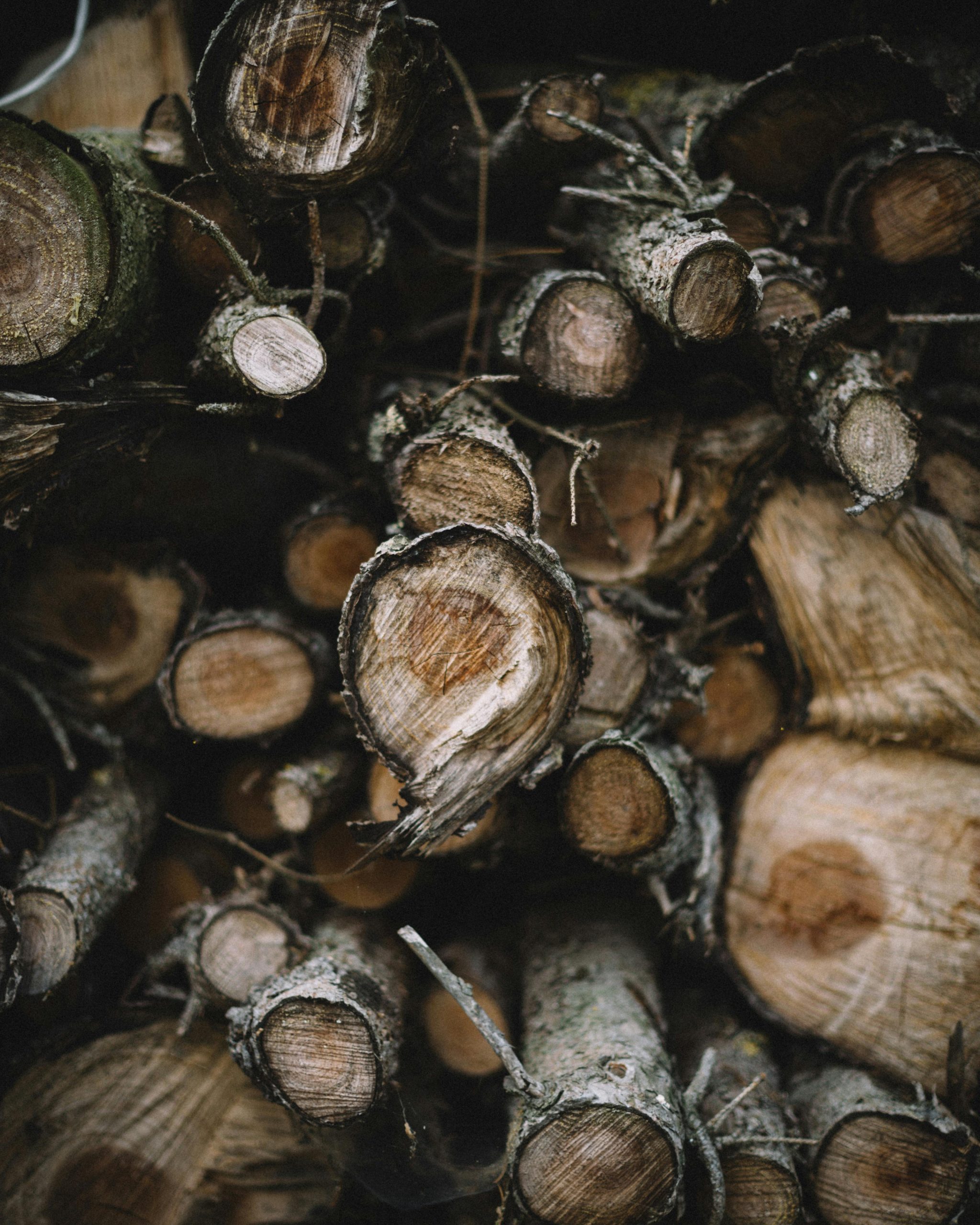 Introduction to Firewood Storage Solutions