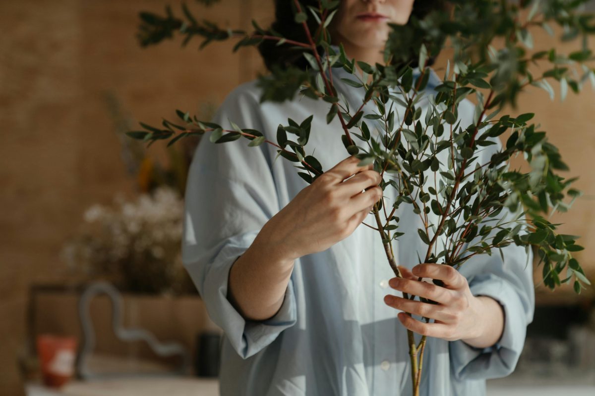 Introduction to Indoor Herb Gardens