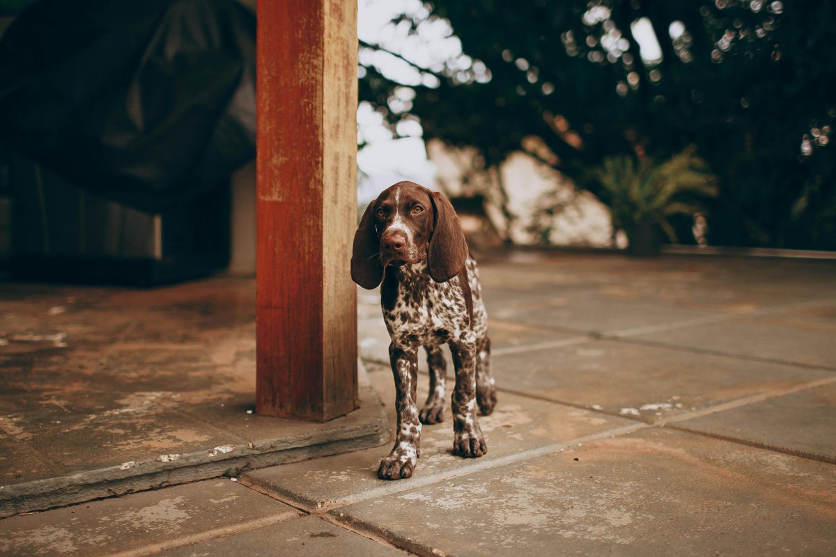 Introduction to Patio Flooring