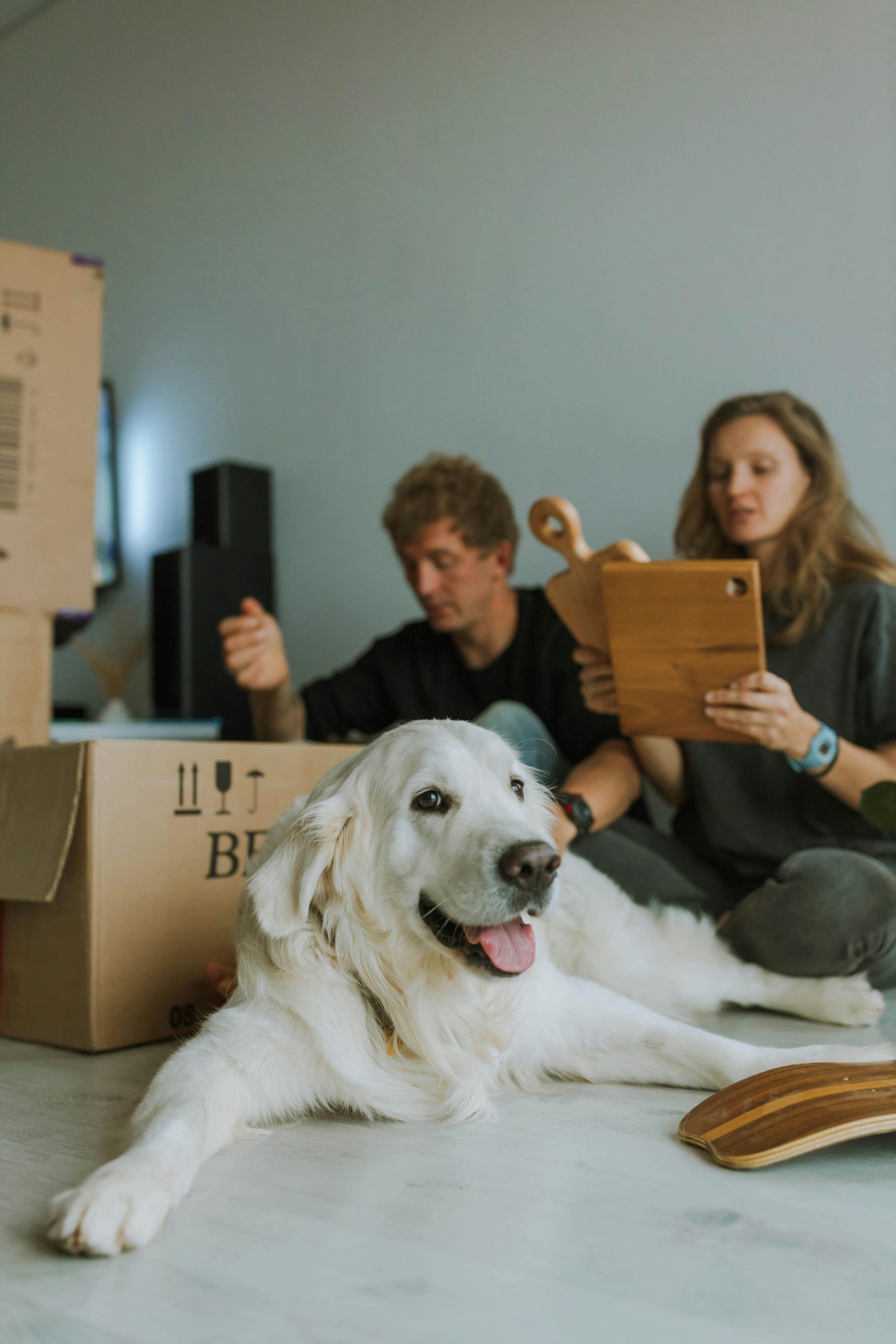 Introduction to Pet-Friendly Living Spaces