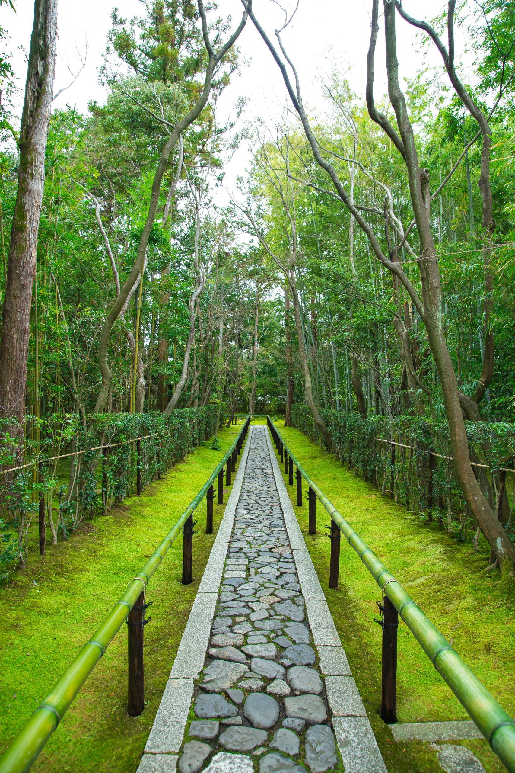 Planning Your Zen Garden