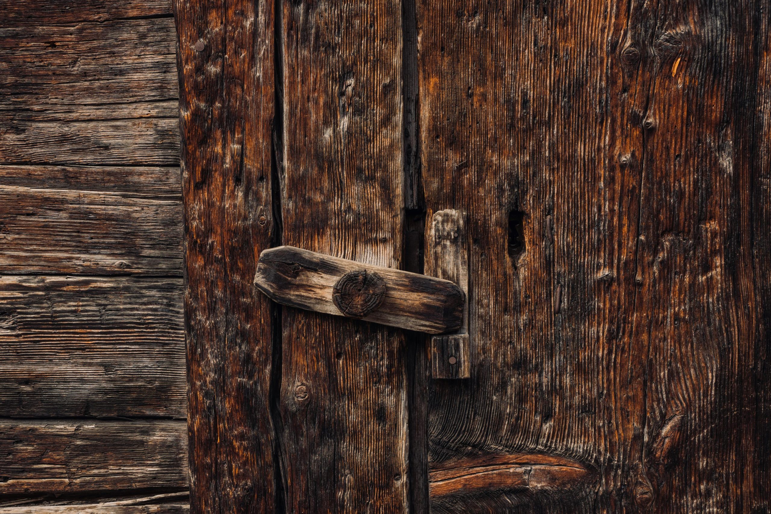 Selecting the Best Material for Your Shed Door