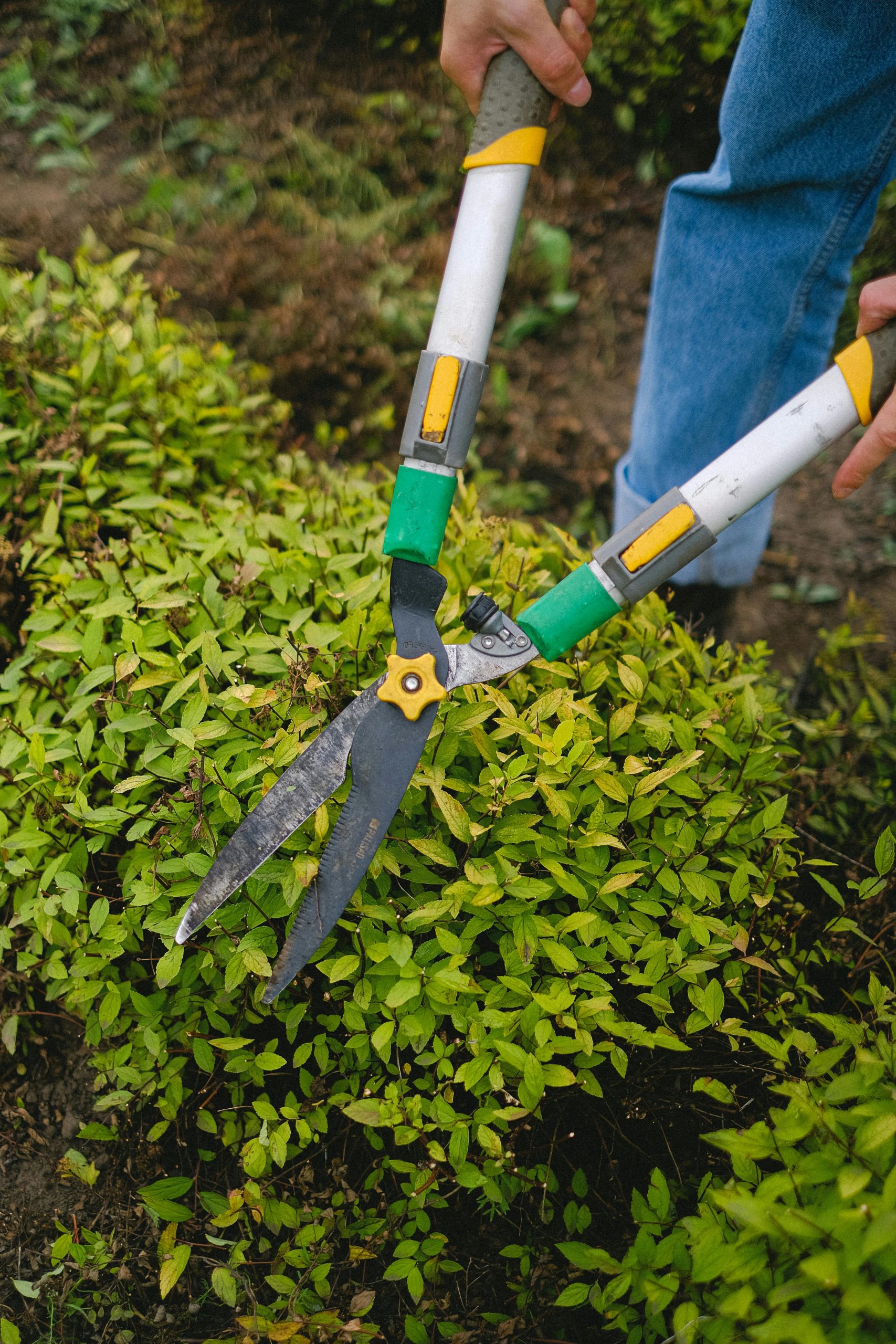 Caring for Your Planters: Maintenance and Seasonal Tips