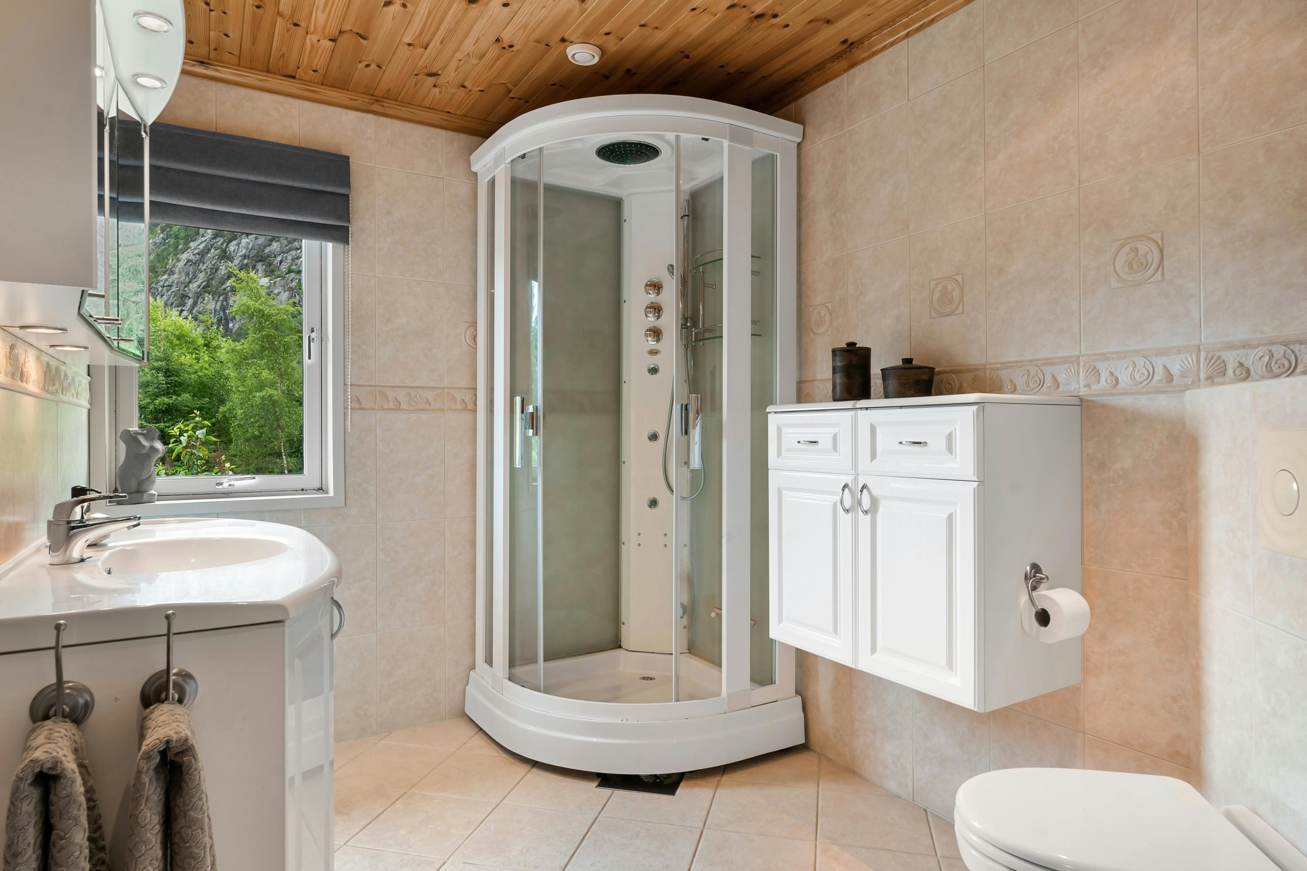 Introduction to Shower Storage Solutions